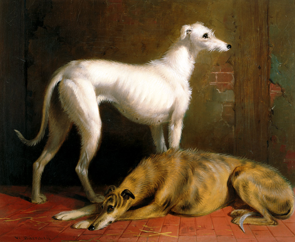 Deerhounds in an Interior a William u. Henry Barraud