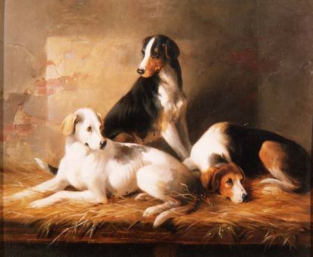 Three Hounds in a Stable a William u. Henry Barraud