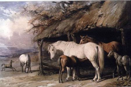 Mares and Foals a William u. Henry Barraud