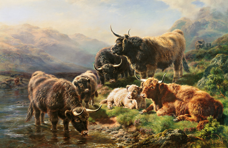 Highland Cattle a William Watson