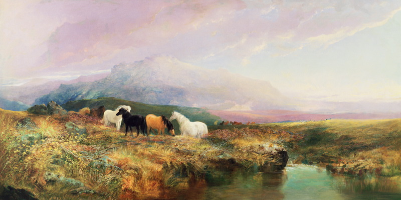 Ponies on Dartmoor a William Widgery