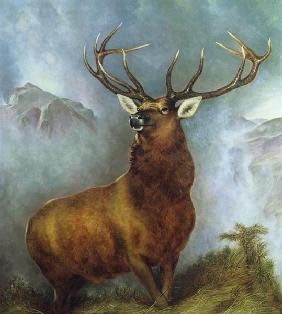 The Monarch of the Glen