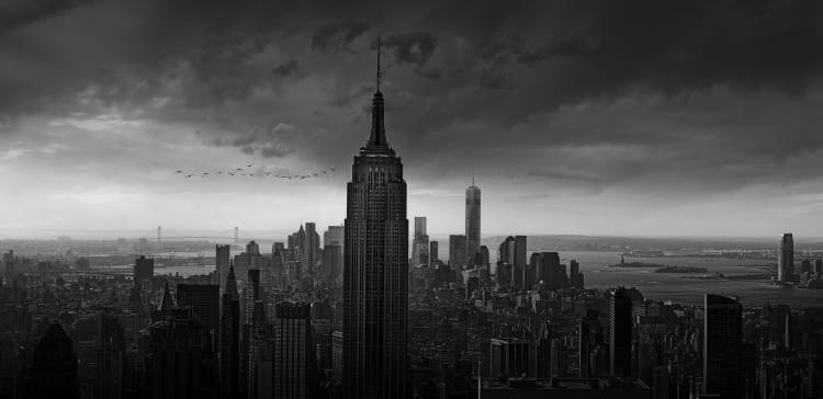 New York Rockefeller View a Wim Schuurmans