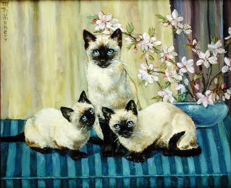 Three Siamese Cats a Winifred Humphery