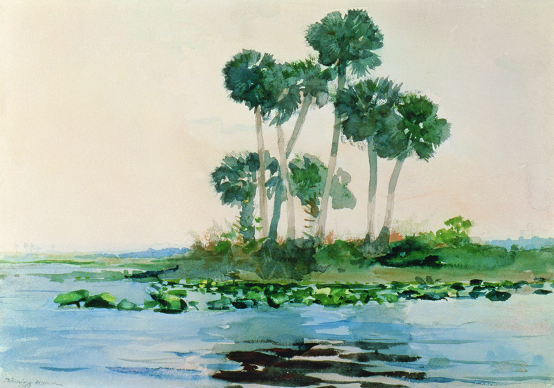 St. John's River Florida a Winslow Homer