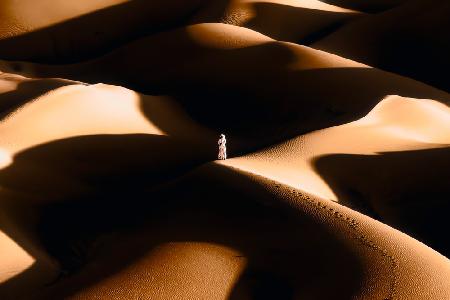 The Desert Walk