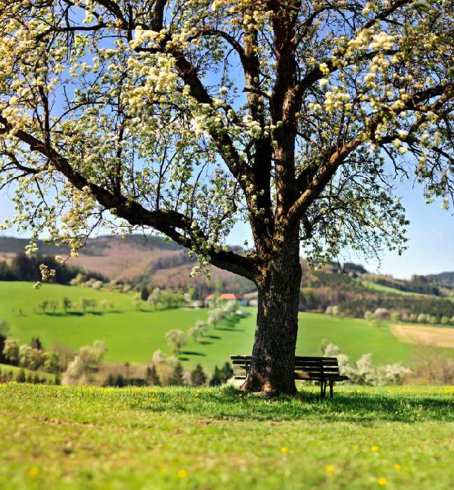 countryside a Wolfgang Simlinger