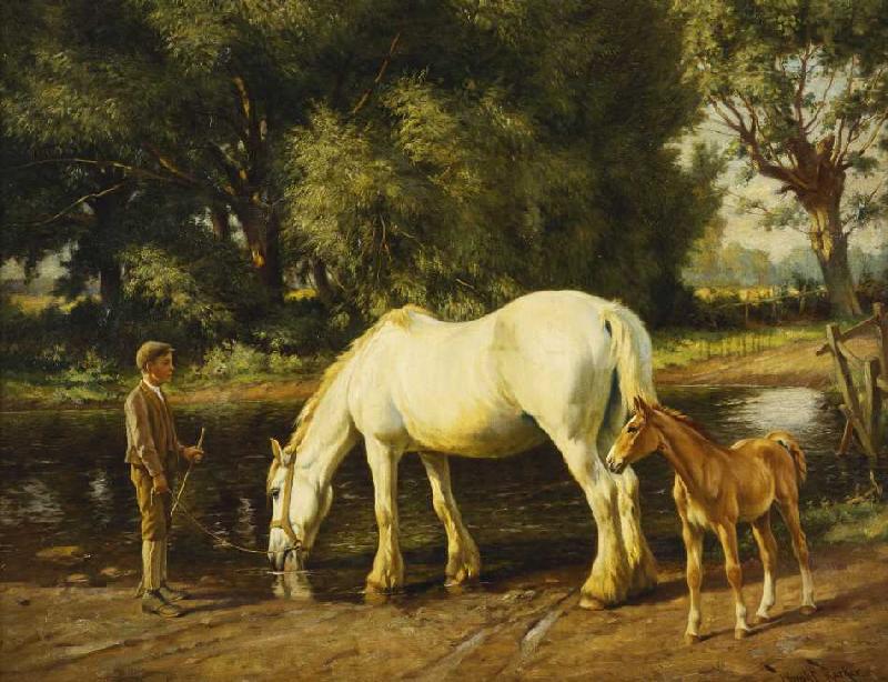 Eine Stute mit ihrem Fohlen an einer Furt. a Wright Barker