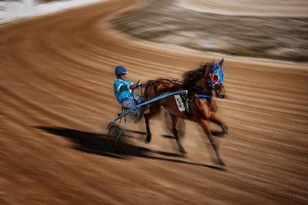 Horse Races in Menorca