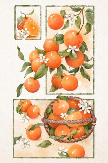 Orange Blossom