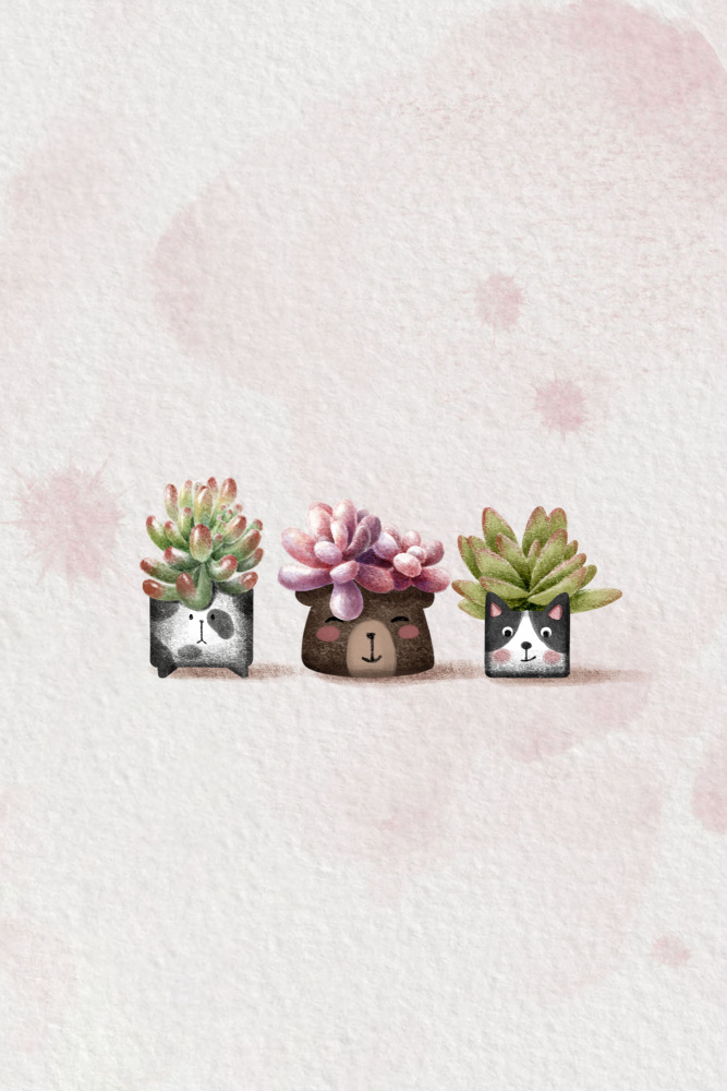 Cute Succulents a Xuan Thai