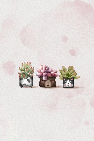 Cute Succulents