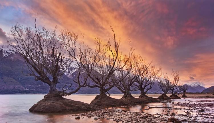 Glenorchy on Fire a Yan Zhang