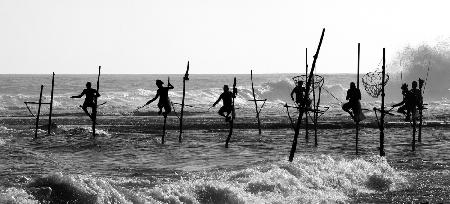 The Stick Fishermen