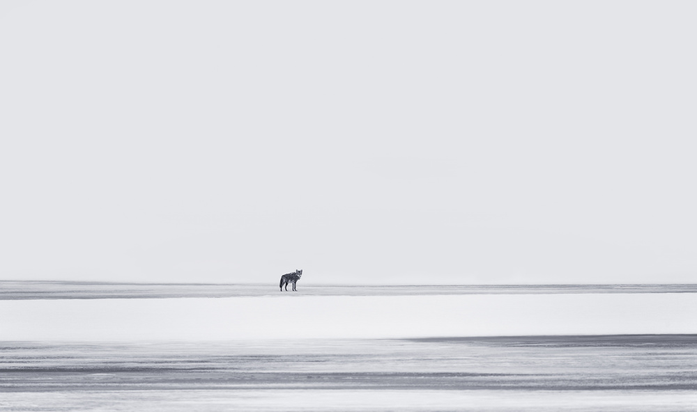 Lonely a Yu Cheng