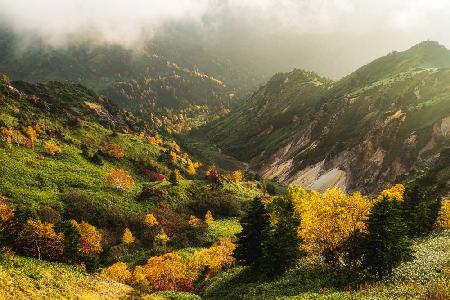 Alpine autumn.