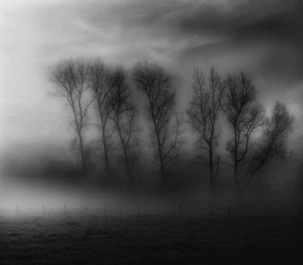 50 Shades of Fog a Yvette Depaepe