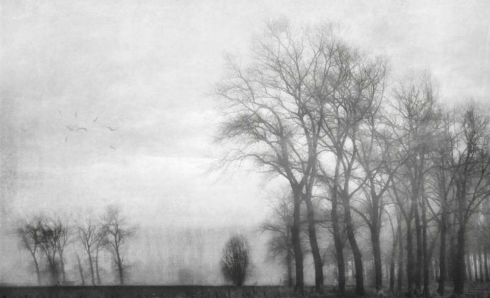The sweet sound of silence... a Yvette Depaepe