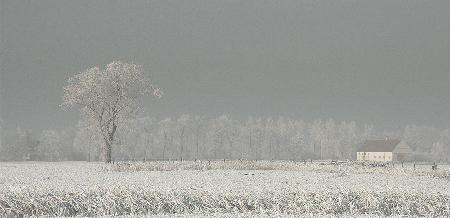 Winter Polderland... Winter Wonderland (2)
