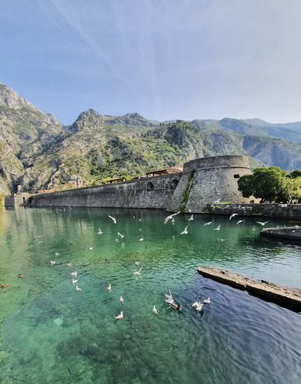 Festungsmauer in Kotor